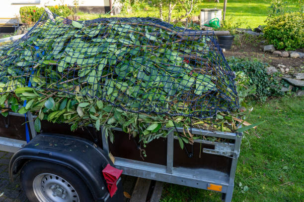 Best Residential Junk Removal  in Ferndale, MD